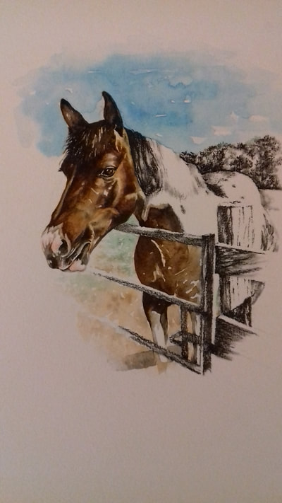 This is Thunder part of a commission for a sister to her twin sisters as they have a menagerie on their smallholding in Cornwall.