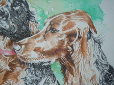 A close-up of a pet portrait of red setters in watercolour and charcoal.
