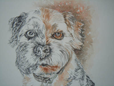 Close up of the 'Old Boy and beloved pet in watercolour and charcoal.