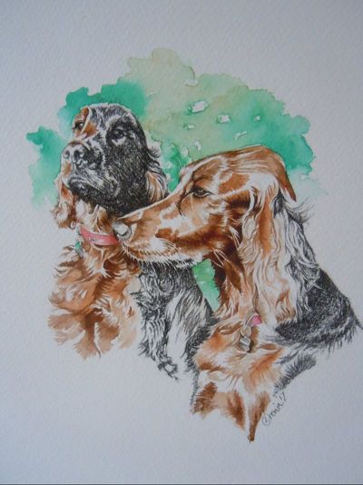 Pet portrait of two red setters in watercolour and charcoal by Lisa Cronin a Cornish artist.